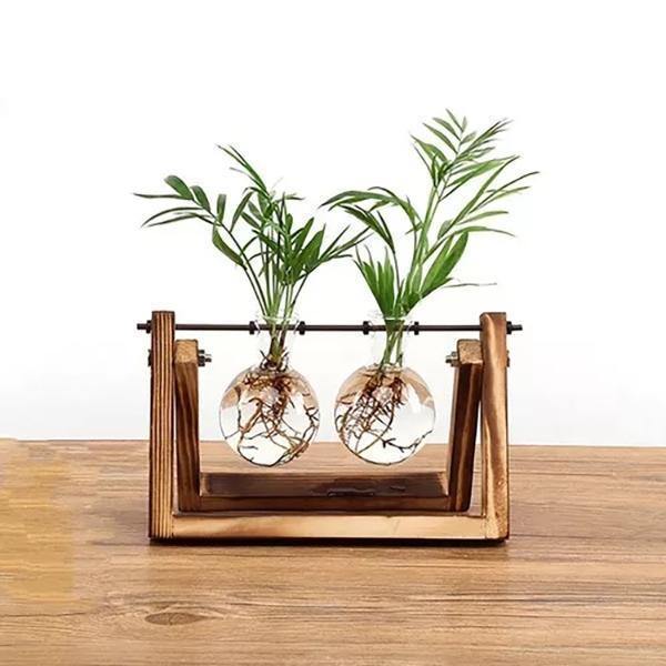 Vases à bulbes en verre avec support en bois
